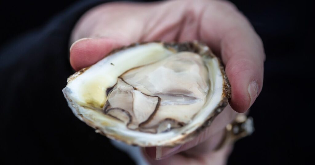 生牡蠣
ウイスキーと合わせよう